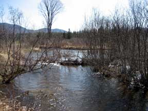 photo of the brook